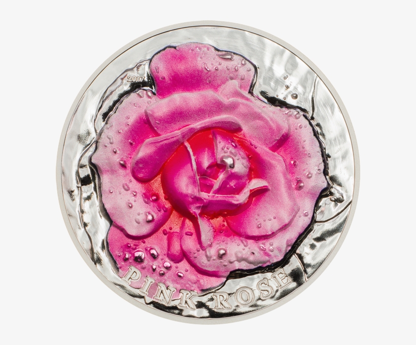 5570 Грн - Circle, transparent png