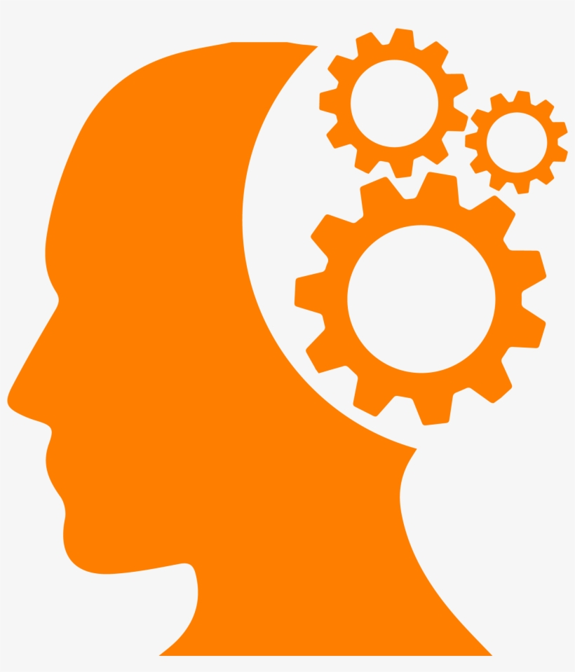 Risultato Immagini Per Liceo Scienze Umane - Scienze Umane, transparent png