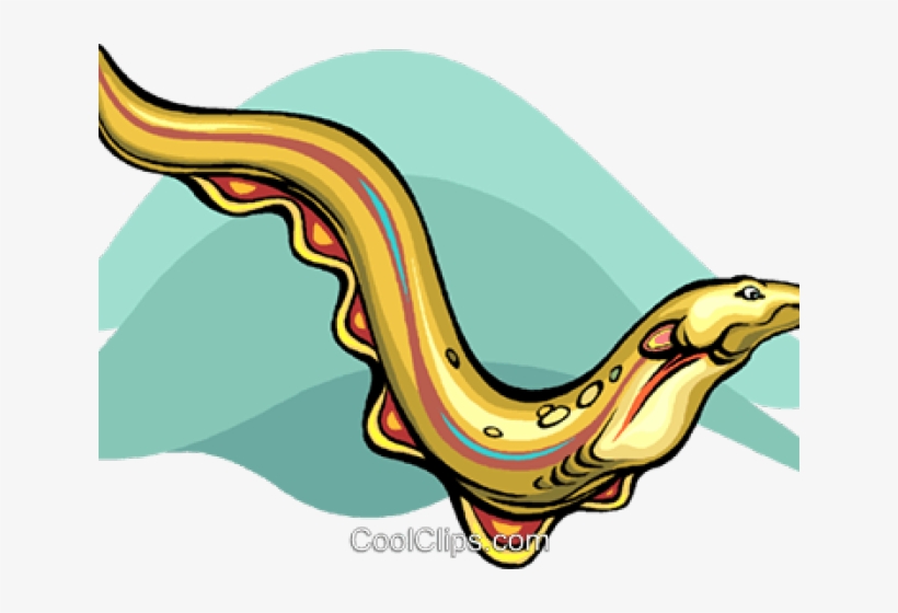 Eel Clipart Vector, transparent png