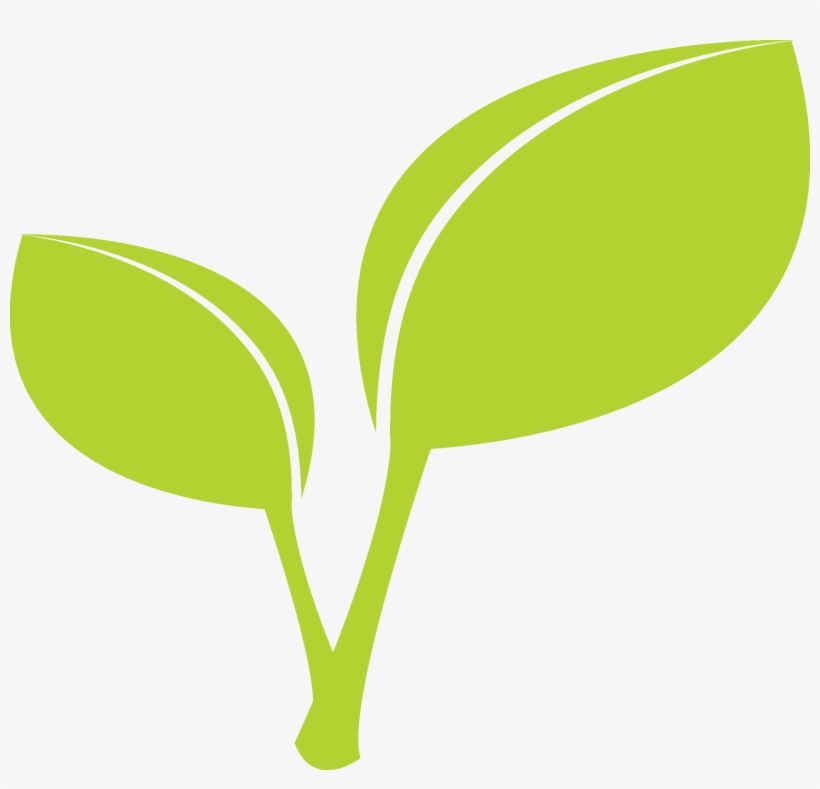 Leaf Png Clipart - Plant Stem Clip Art, transparent png