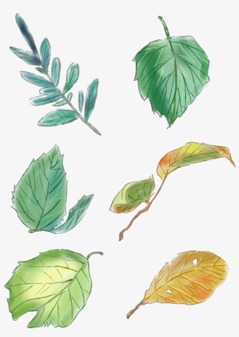 Original Hand Painted Green Leaves Set Drawings Png - Design, transparent png