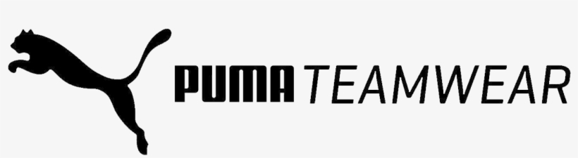 Business Development Manager Puma Teamwear - Parallel, transparent png