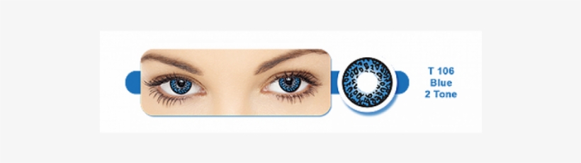 Beauty Contact Lenses Tiger T - Eye Liner, transparent png