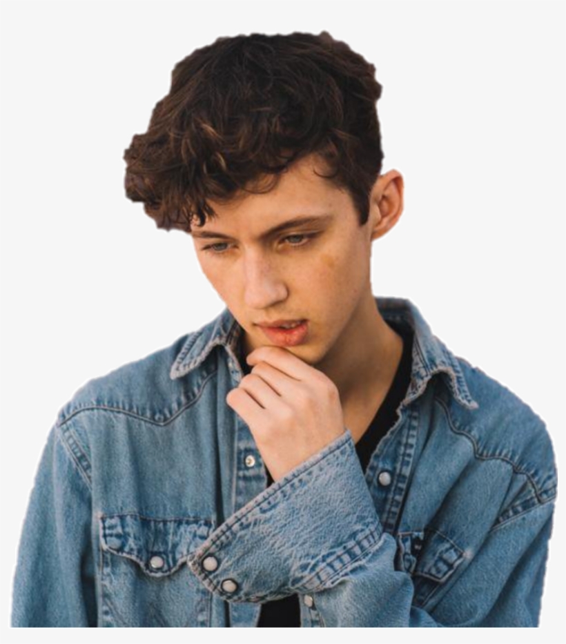 Troyesivan Sticker - Troye Sivan Pastel Pink, transparent png