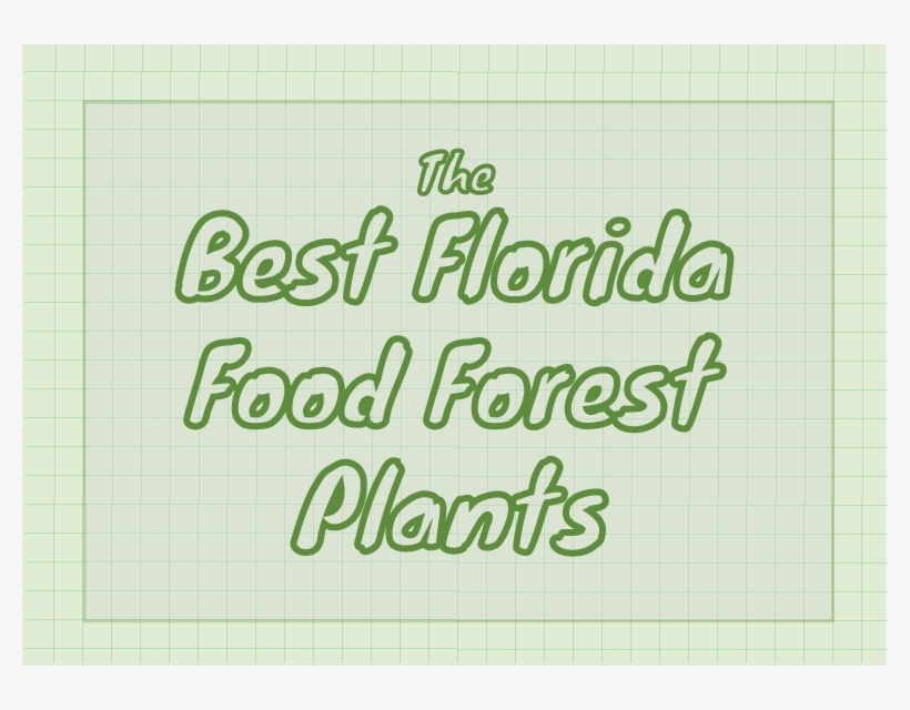 The Best Florida Food Forest Plants - Handwriting, transparent png
