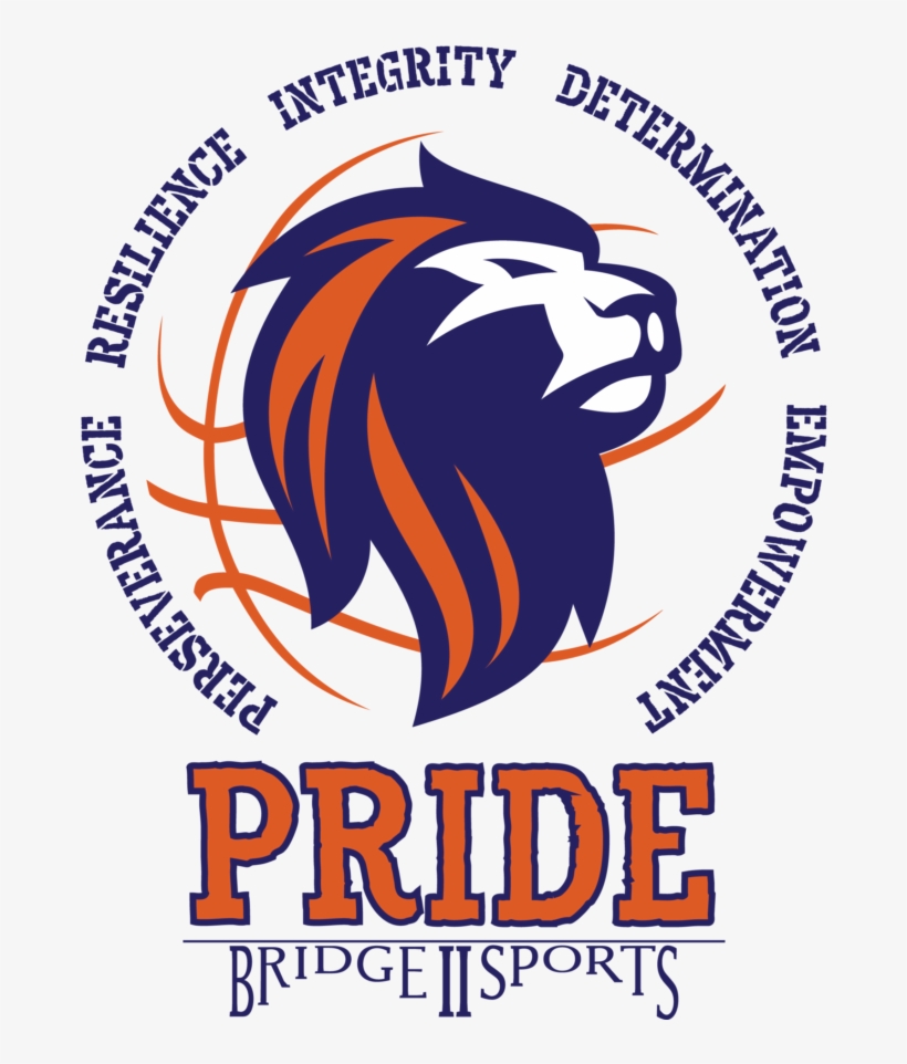 Bridge Ii Sports - Poster, transparent png