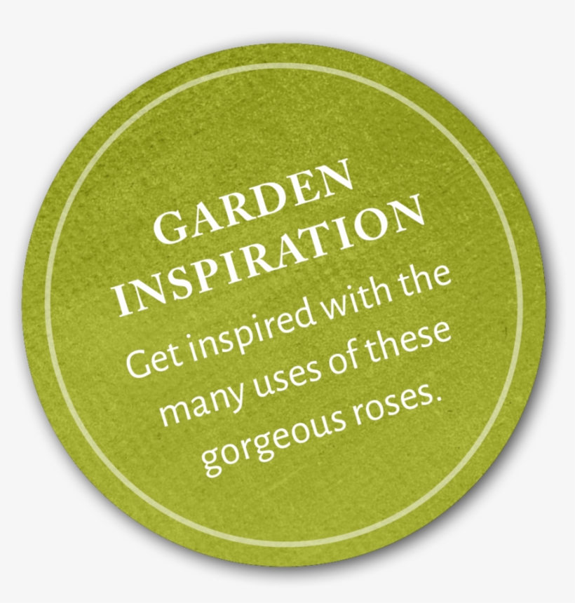 Inspiration - Hospital Hill, transparent png