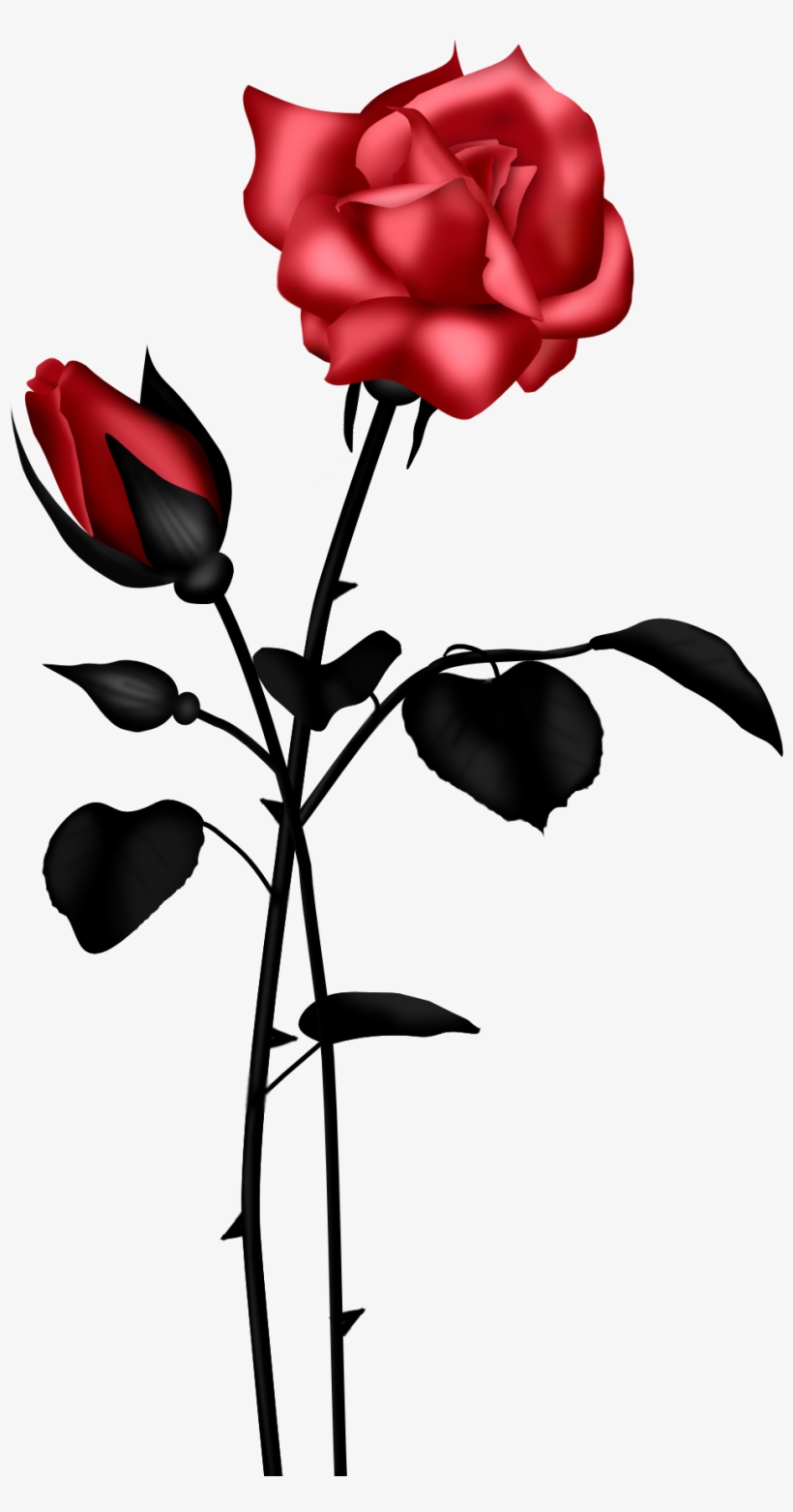 Blue Roses Clip Art Transparent - Rose, transparent png
