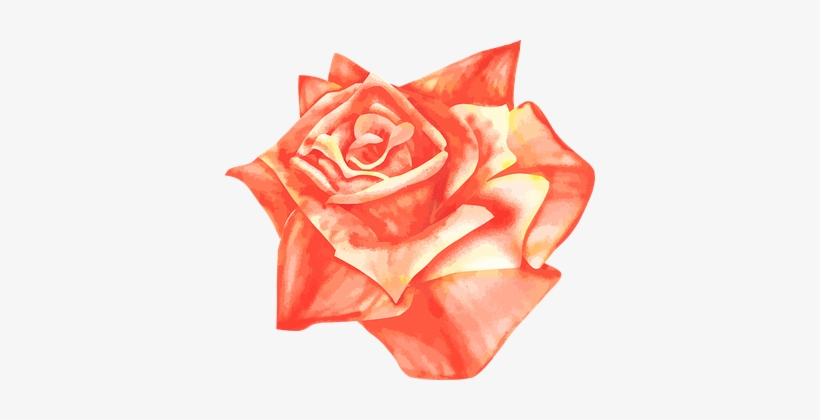 Rose Airbrush Vector Drawing Orange Red Ye - Rosa Laranja Desenho, transparent png