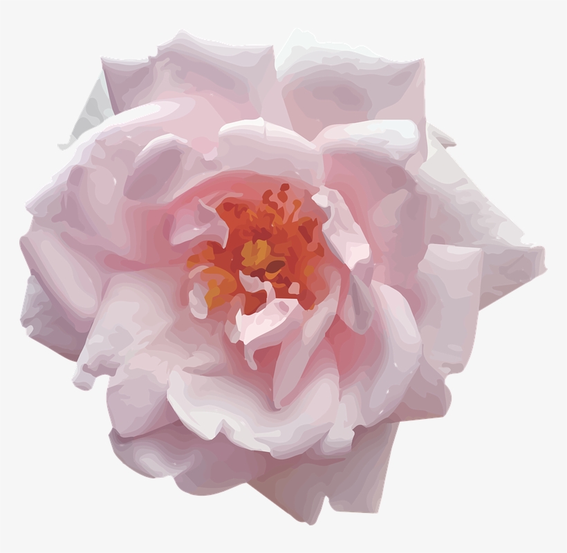 Pink, Rose, Vector - Cafepress Full/queen Duvet Cover, transparent png