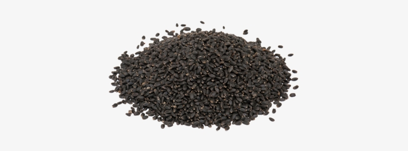 Basil Seeds Exporters - Sabja Seeds Plant, transparent png