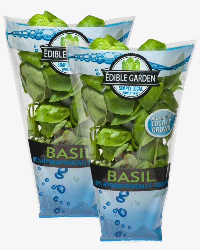Living Basil - Hydroponic Basil In Bag, transparent png