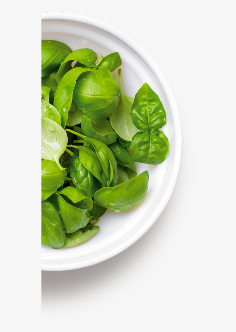 For A Product That Is Always Tasty And On-trend - Basil, transparent png
