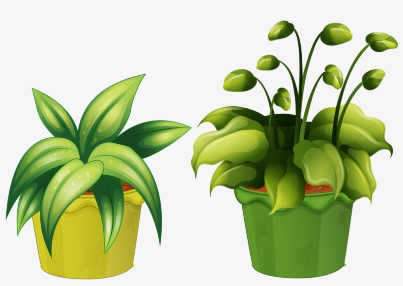 Flower Pot 15 - Vaso Planta Desenho Png, transparent png