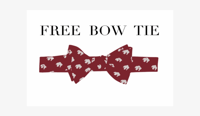 Polka Dot, transparent png