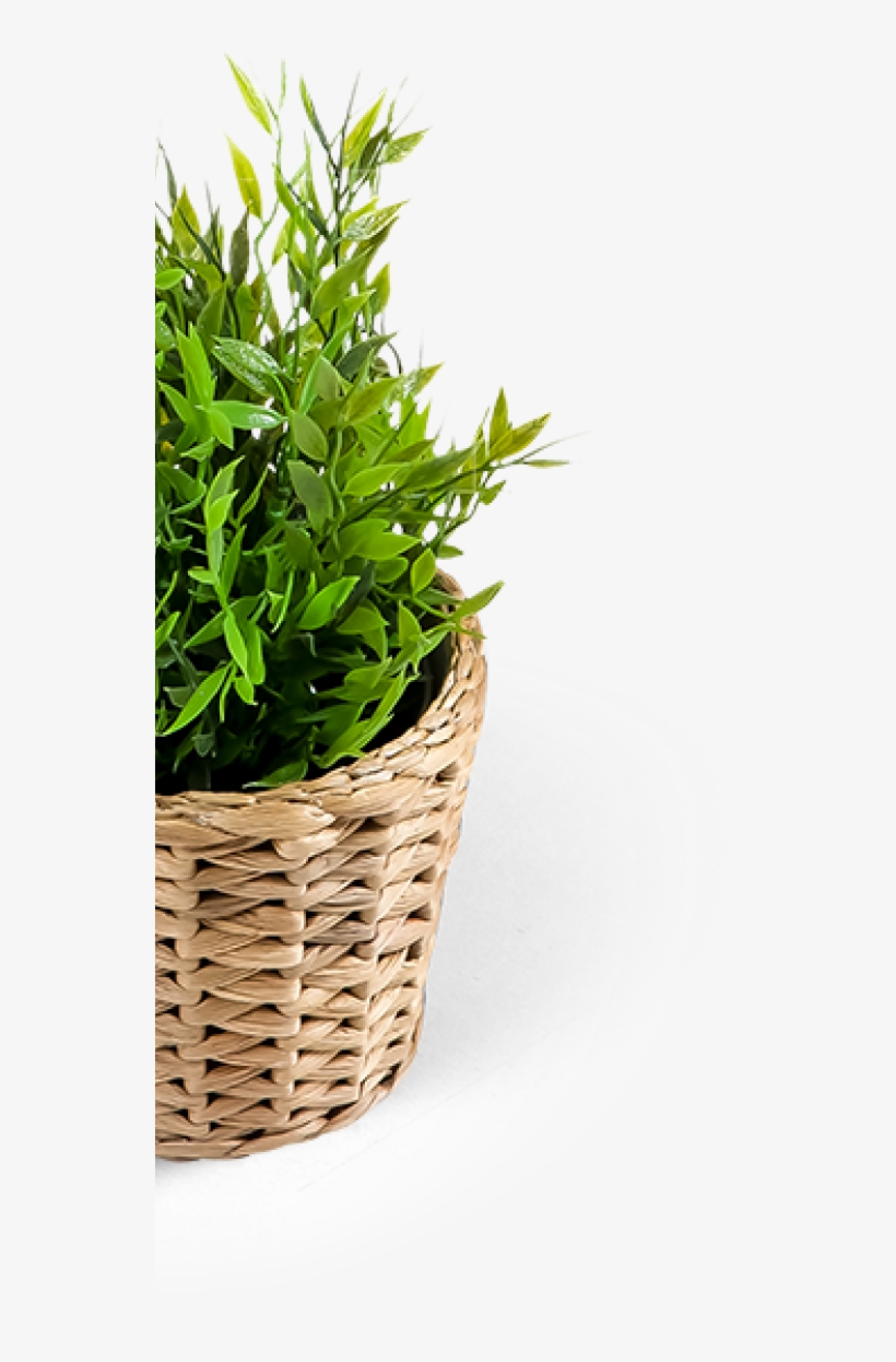 Wicker Flowe Pot - Grass, transparent png