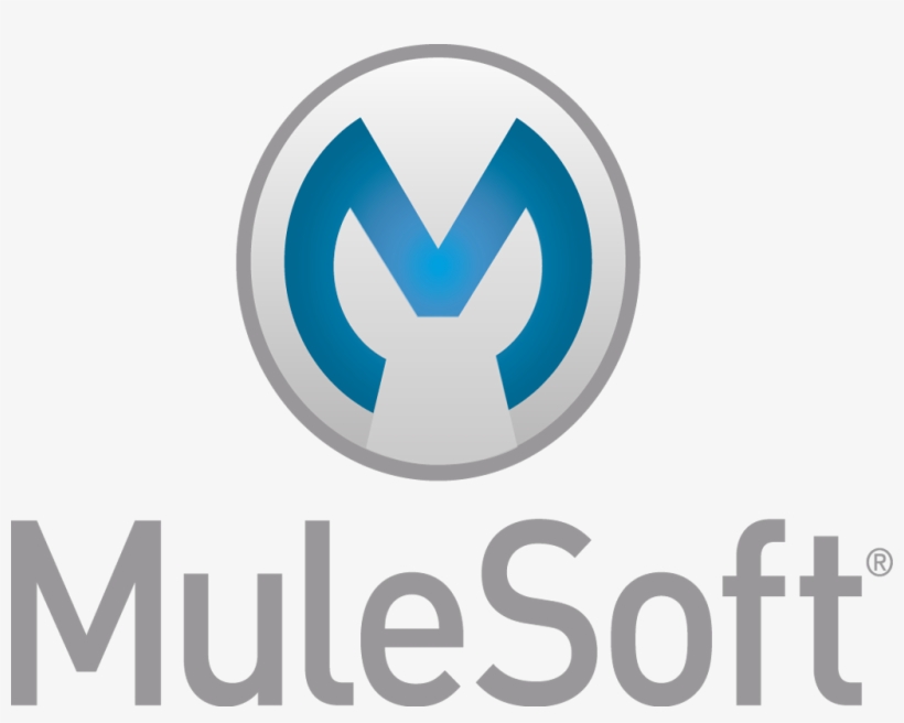 Best Practices For Mule Project - Mulesoft, transparent png