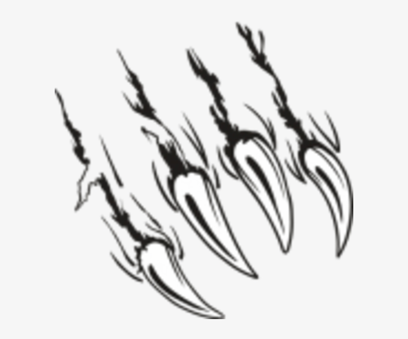 Small - Bear Claw Scratch, transparent png