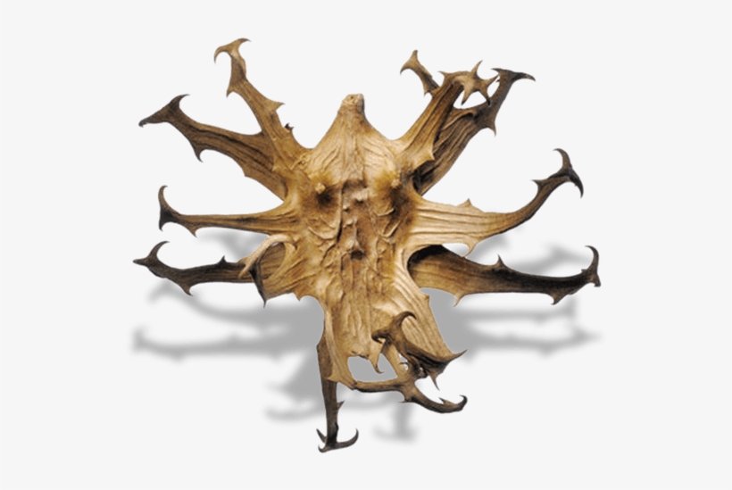 Reduce Uric Acid Herb, transparent png