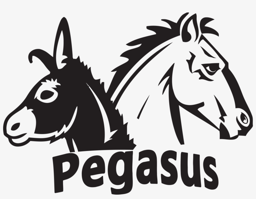 Pegasus Society - Pegasus, transparent png