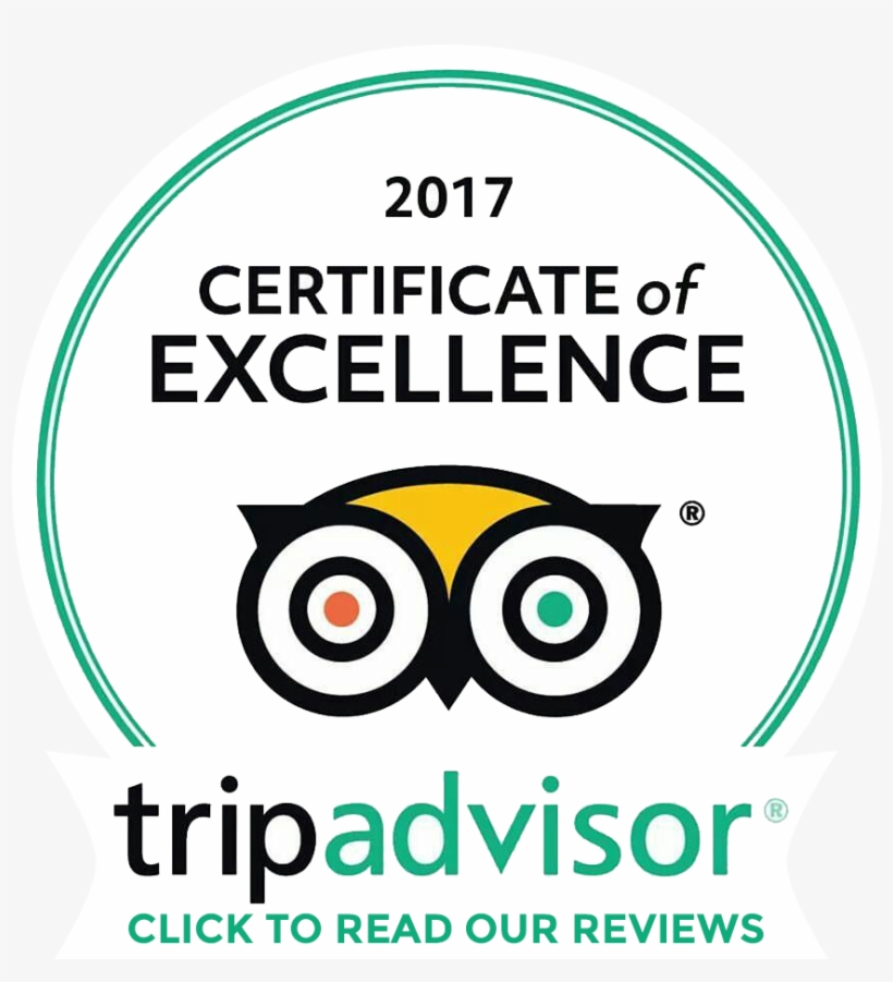 Tripadvisor Logo 1 - Listerine Antiseptic Mouthwash, Cool Mint - 250 Ml, transparent png