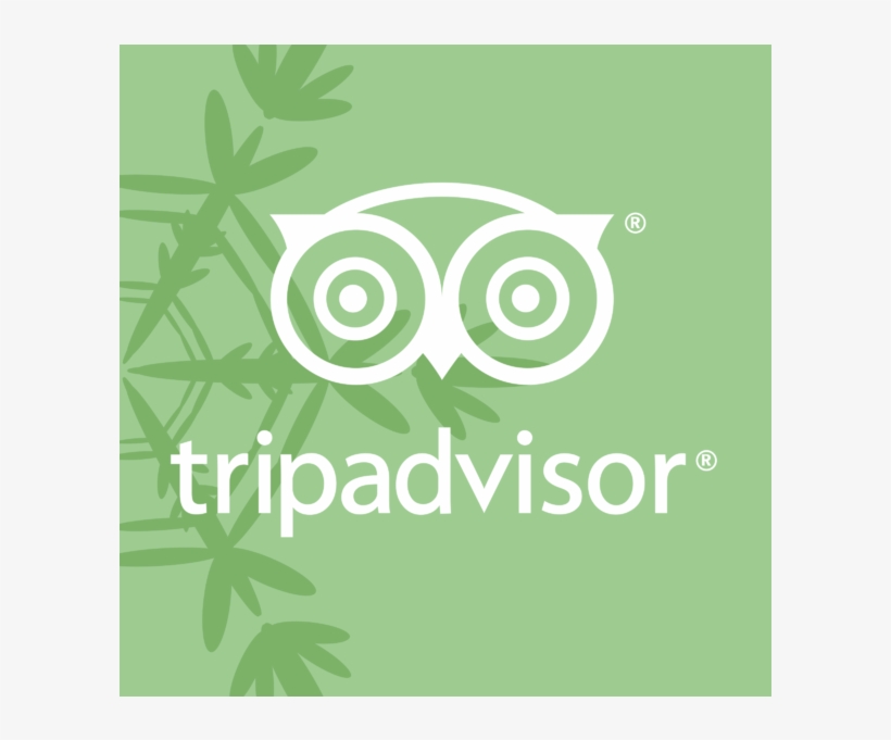 Graphic Design, transparent png