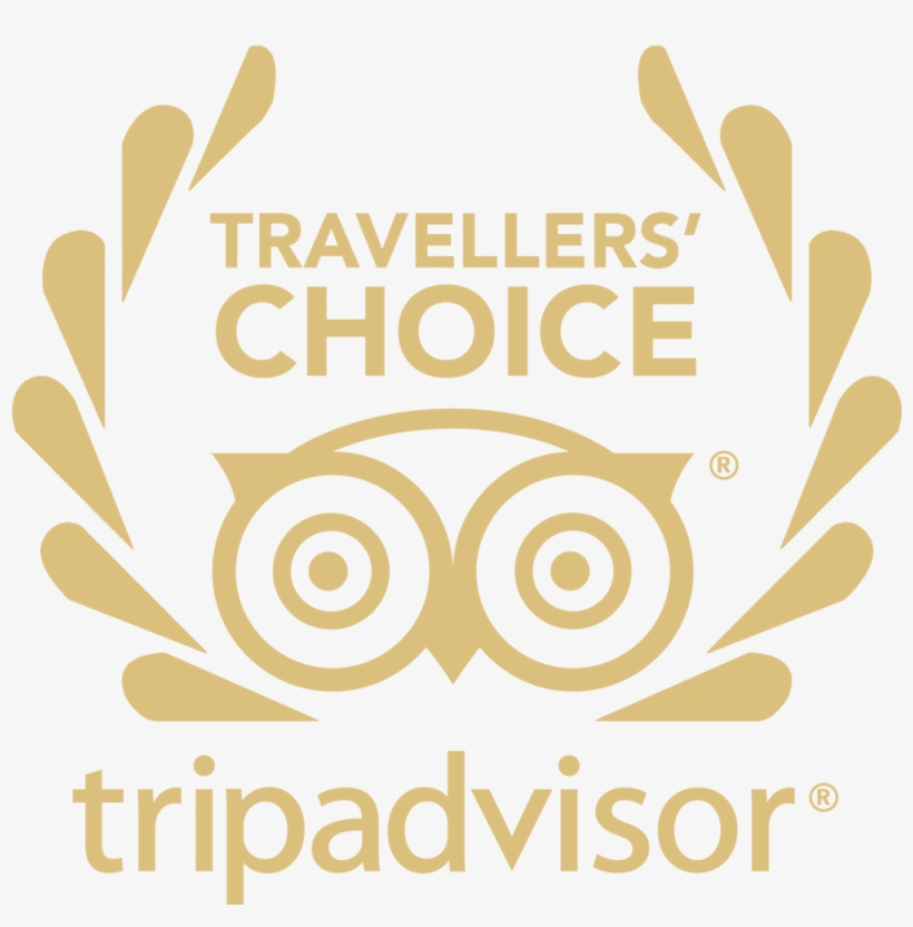 We Have Been Awarded By Tripadvisor Every Year From - Trip Advisor, transparent png