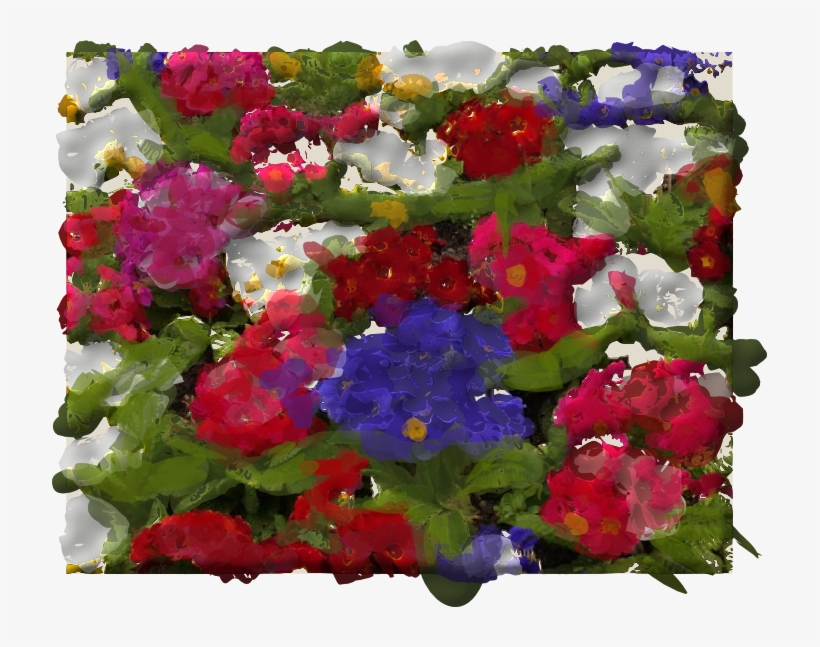 Green Red Purple - Petunia, transparent png
