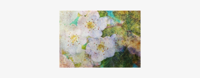 Spring White Flowers And Messy Watercolor Splatter - Watercolor Painting, transparent png