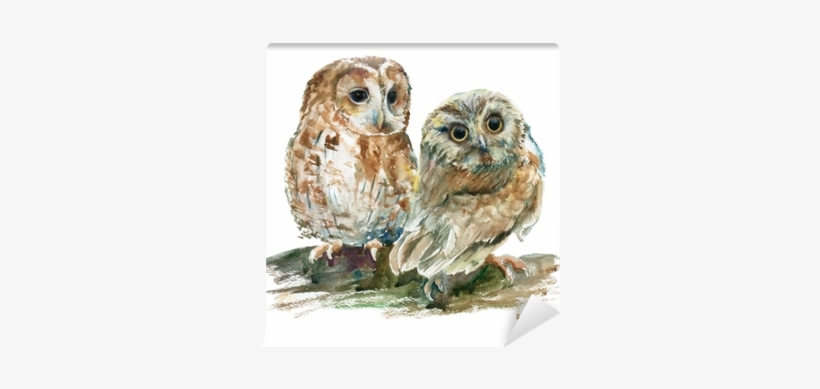 Gallery Direct Watercolor Owls Print On Paper Framed, transparent png