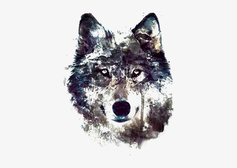 Wolf Beauties - Волк Hd, transparent png