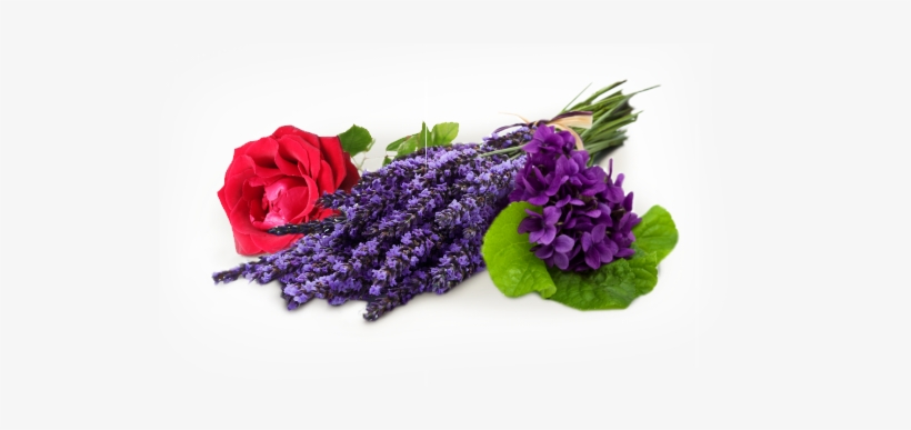 Trublooms - Com - Chicago, transparent png