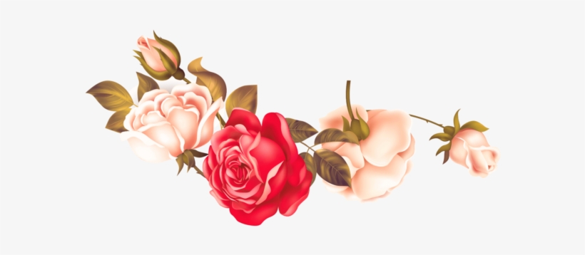 Garden Roses, transparent png