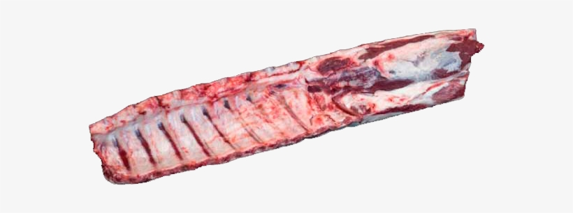 Bone In Loin W/t - Beef Tenderloin, transparent png