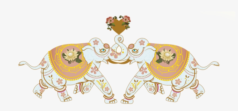 The Next Day, transparent png