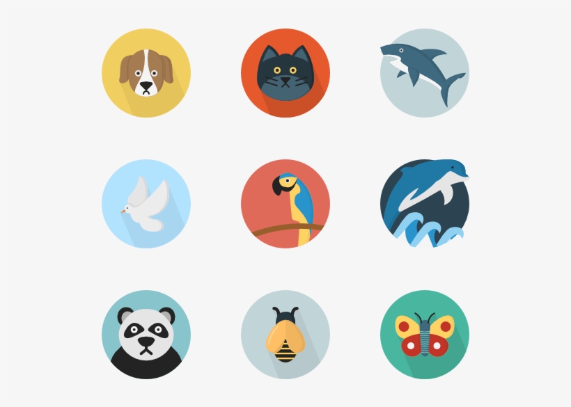 Animals - Multimedia Png, transparent png