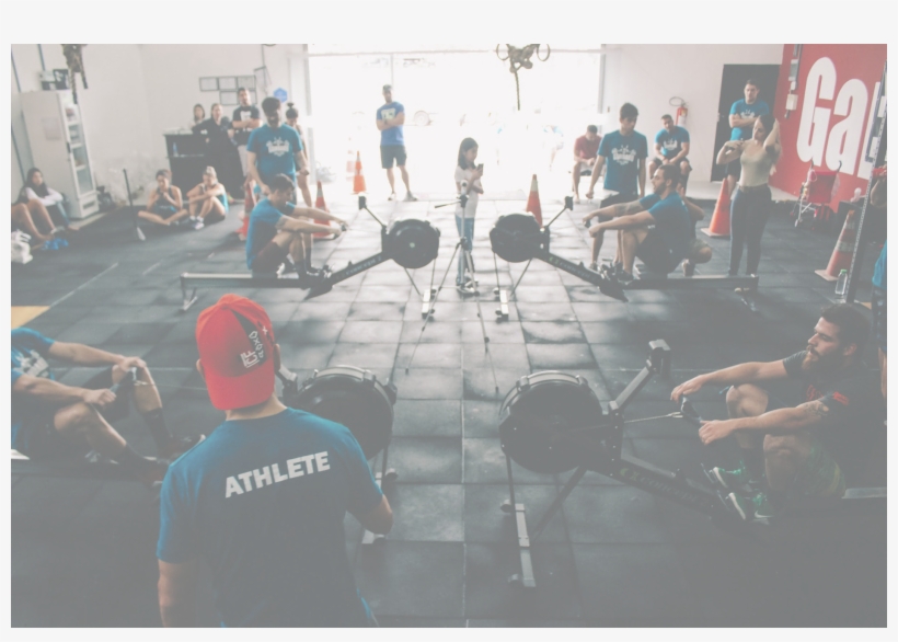 Body Building - Free Fitness, transparent png