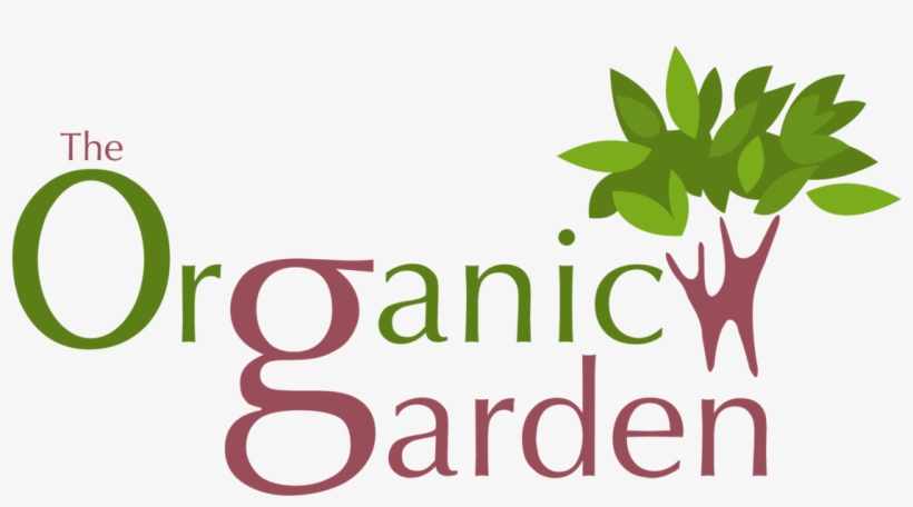 Graphic Design, transparent png