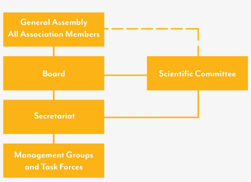 Organisation & Structure Graph - Diagram, transparent png