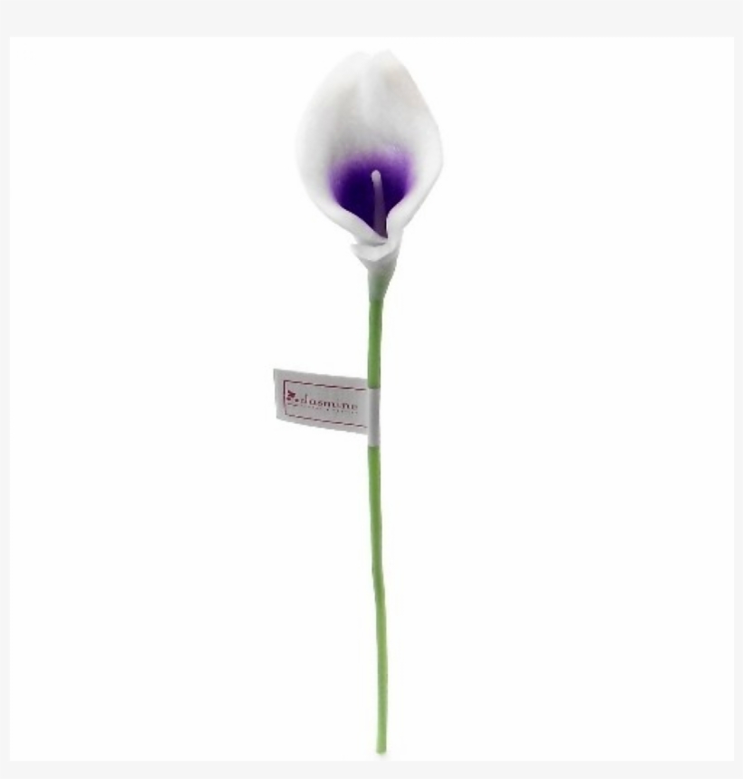 Orchid, Calla & Rose Wedding Flowers - Tulip, transparent png