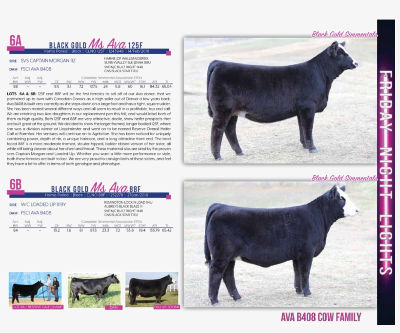 $8,250martin Cattle Services, transparent png