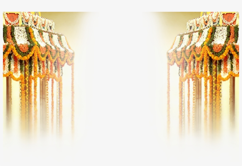 October 14th, - Macro Photography, transparent png