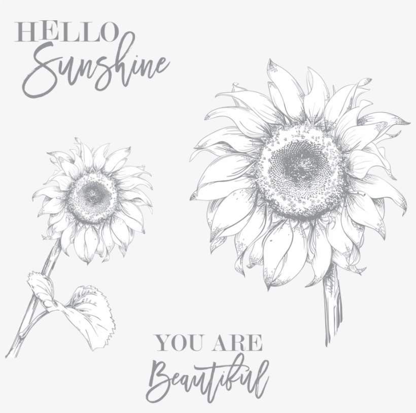 Shop - Sunflower, transparent png