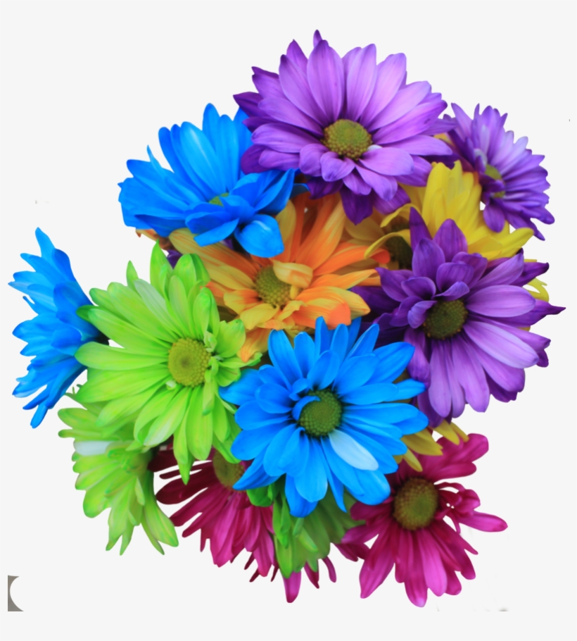 Bouquet Transprent Png Free - Daisy Flowers Bouquet Png, transparent png