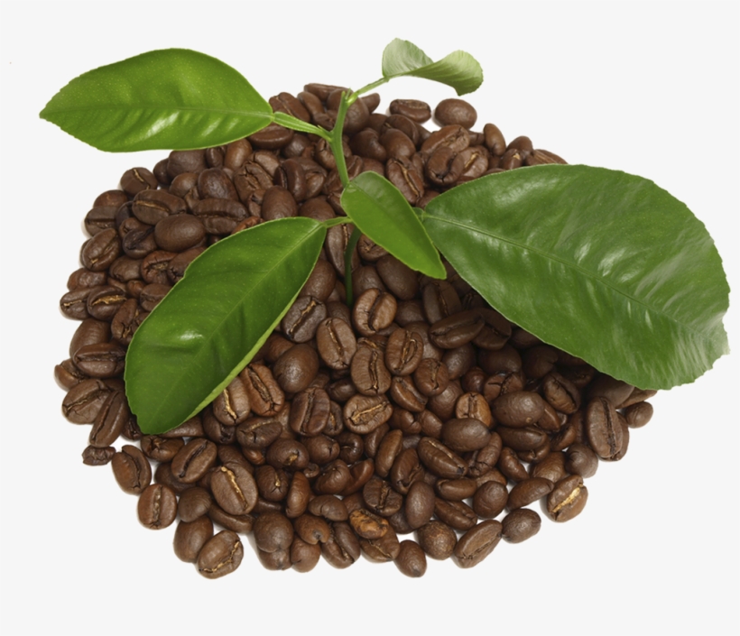 Coffee With Leaf Png - Coffee, transparent png