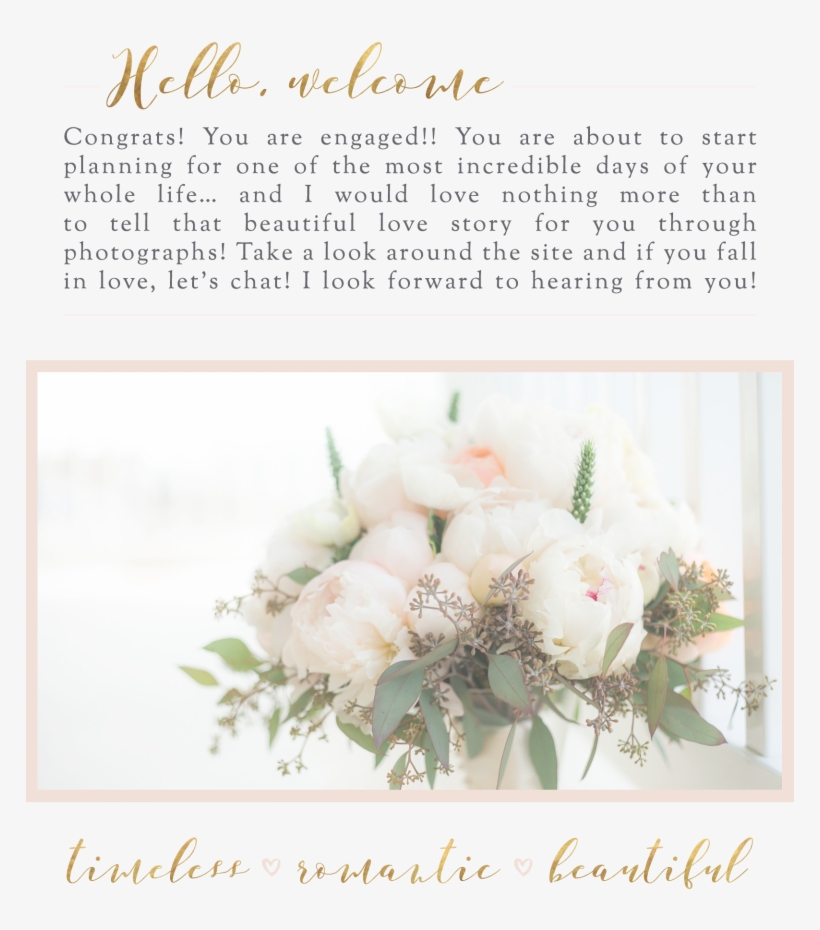 Then I Bought A Pack Of 20 Mg Cialis Tablets, Not Levitra - Garden Roses, transparent png