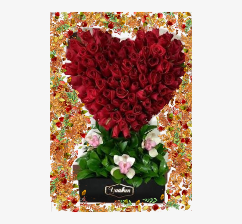 Garden Roses, transparent png