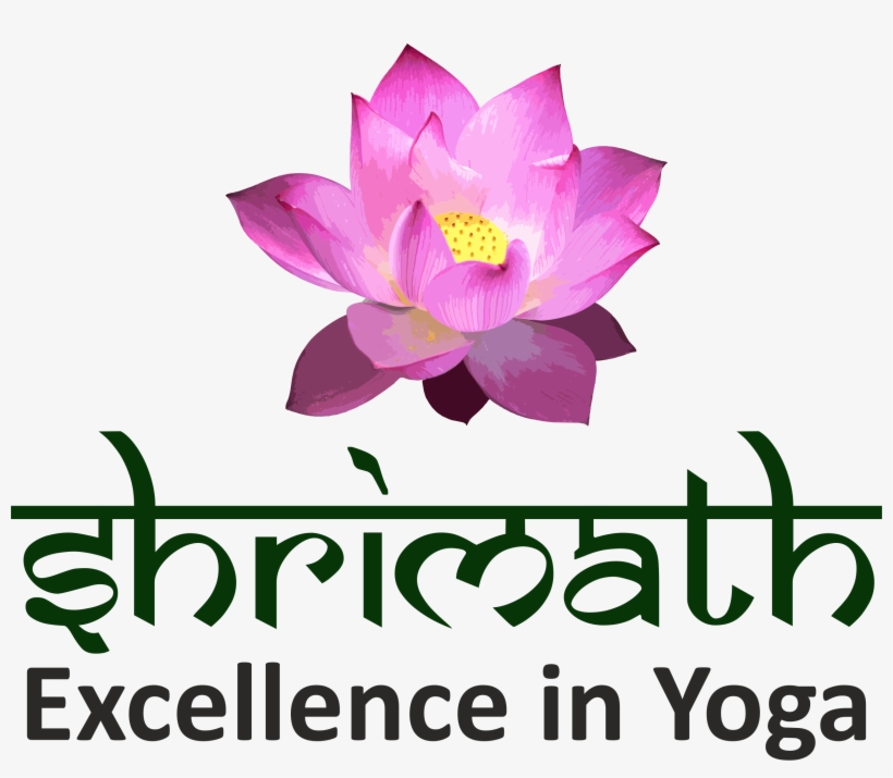 Sacred Lotus, transparent png