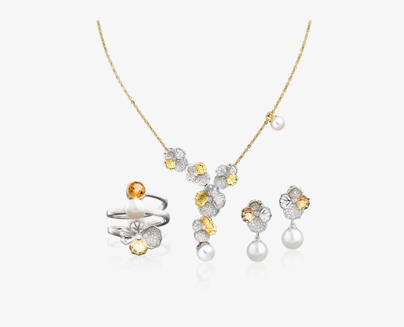 Bst Oriental - Locket, transparent png