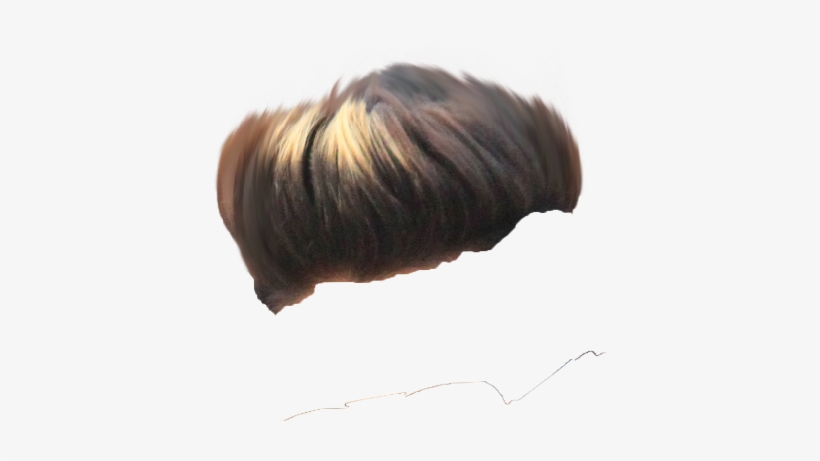 Hair Png ➤ Download - Bun, transparent png